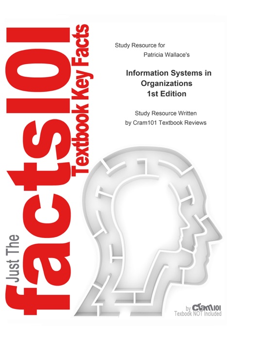 Information Systems in Organizations