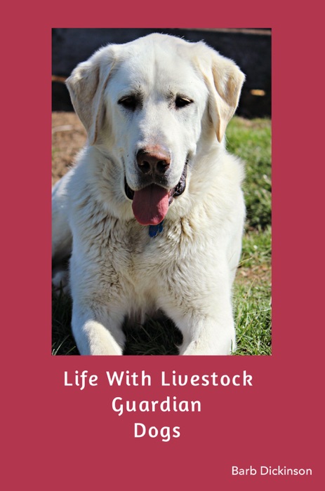 Life With Livestock Guardian Dogs