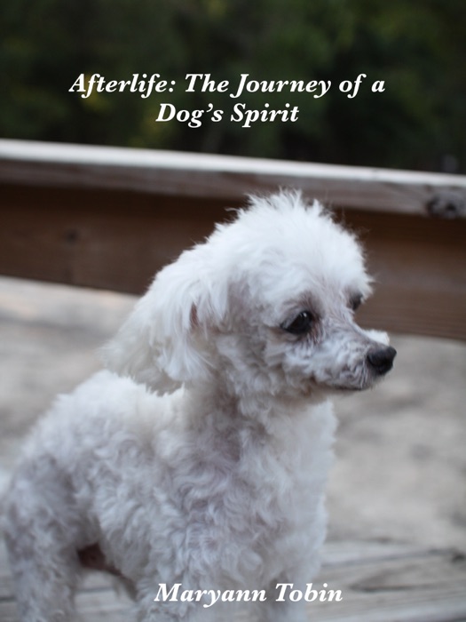 Afterlife: The Journey of a Dog's Spirit