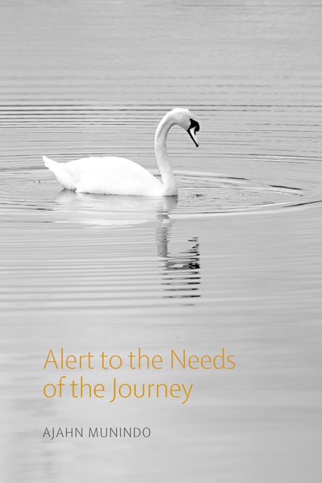 Alert to the Needs of the Journey