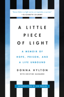 Donna Hylton - A Little Piece of Light artwork