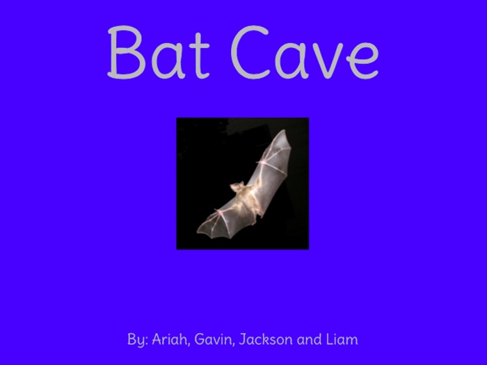 Bat Cave