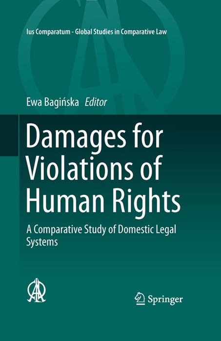 Damages for Violations of Human Rights