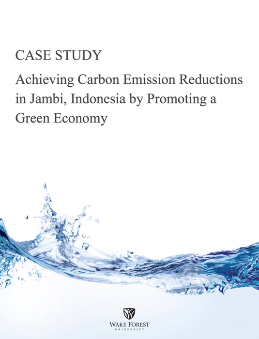 Case Study -- Achieving Carbon Emission Reductions in Jambi, Indonesia by Promoting a Green Economy