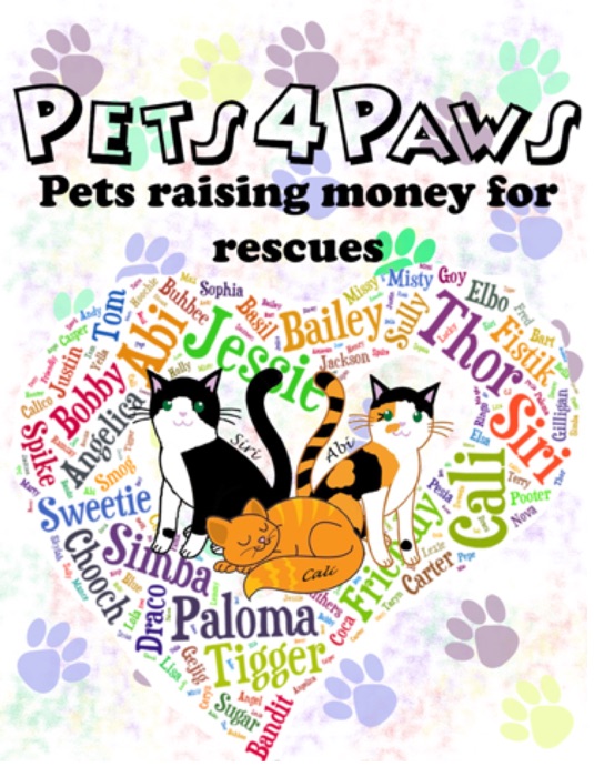 Pets 4 Paws