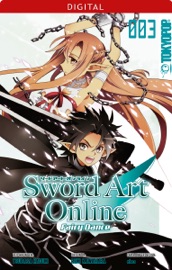 Book's Cover of Sword Art Online - Fairy Dance 03