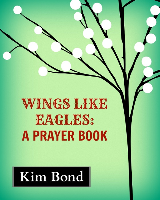 Wings Like Eagles: A Prayer Book