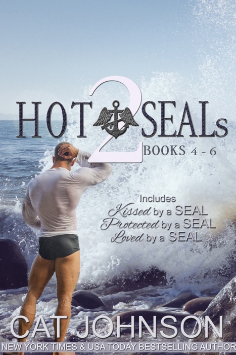 Hot SEALs 2 (Books 4-6)