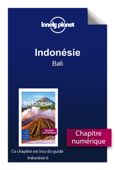 Indonésie - Bali - Lonely Planet Fr