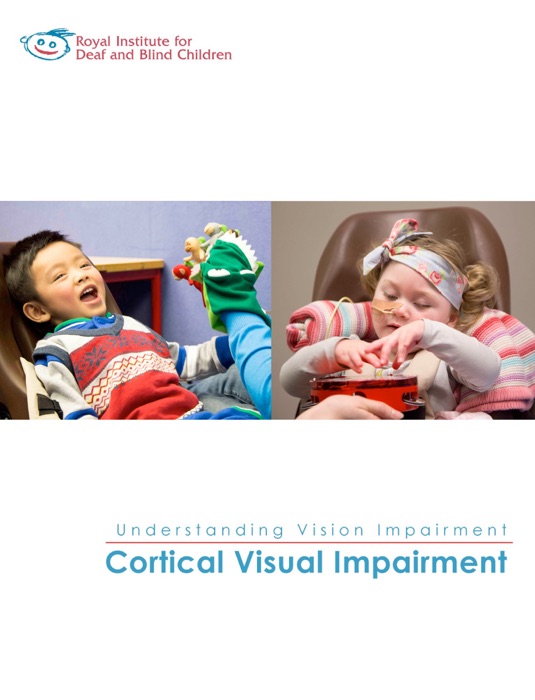 Cortical Visual Impairment