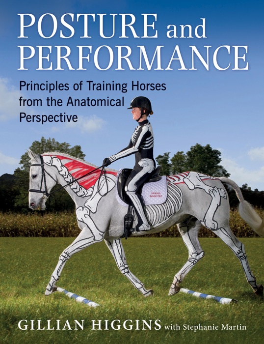 POSTURE AND PERFORMANCE