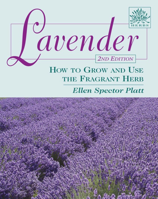 Lavender