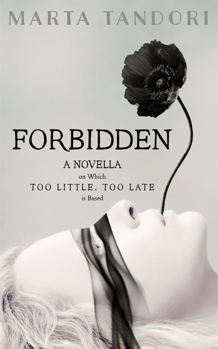 Forbidden, a Kate Stanton Hollywood Mystery Extra