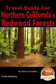 Travel Guide for Northern California's Redwood Forests - Fhilcar Faunillan