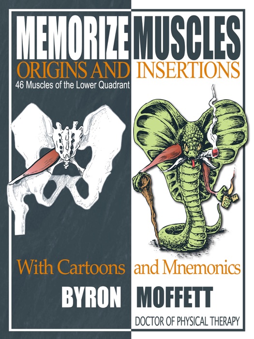 Memorize Muscles, Origins, and Insertions with Cartoons and Mnemonics