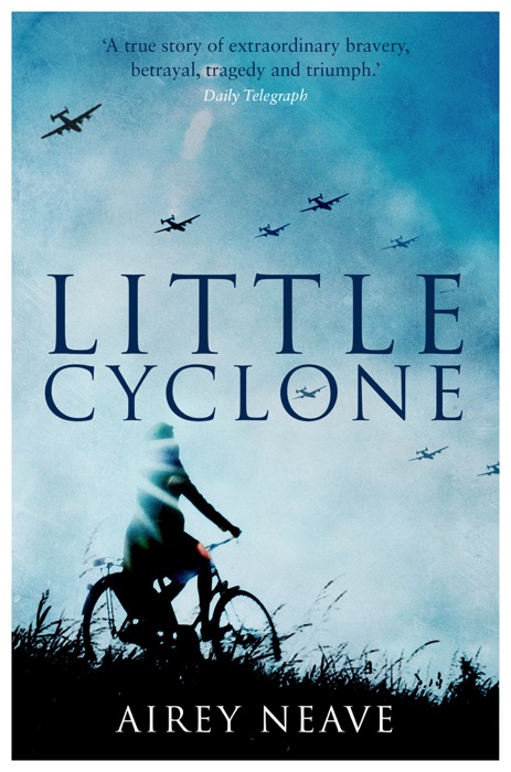 Little Cyclone