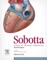 Sobotta Atlas of Human Anatomy, Vol. 2, 15th ed., English - Friedrich Paulsen, Jens Waschke, Sabine Hombach-Klonisch & Thomas Klonisch