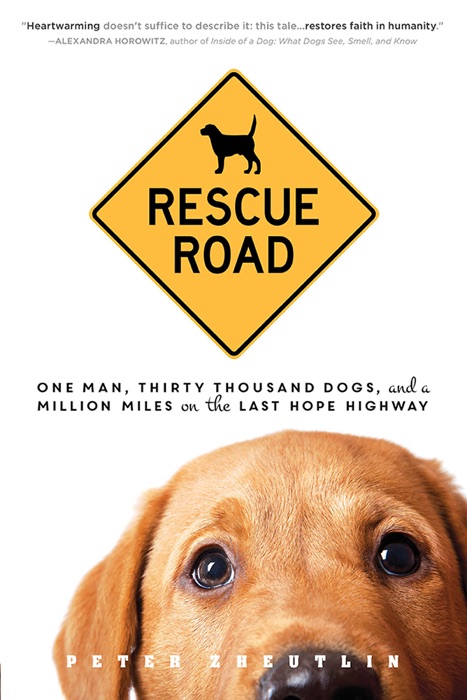 Rescue Road