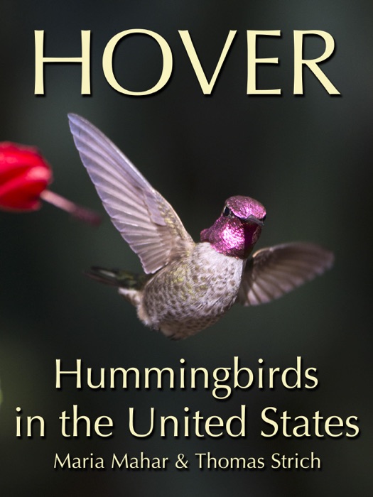 Hover: Hummingbirds in the United States