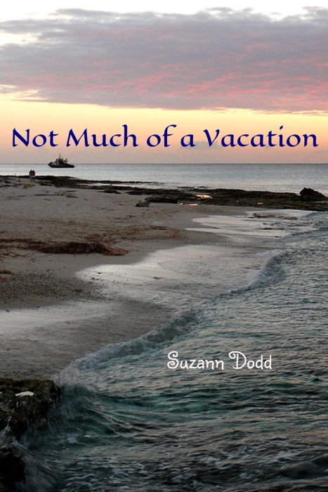 Not Much of a Vacation