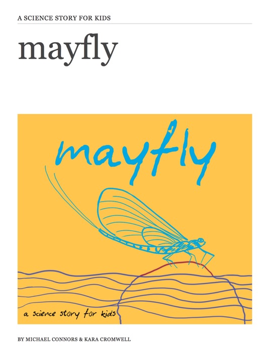 Mayfly