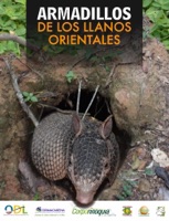Armadillos de los Llanos Orientales