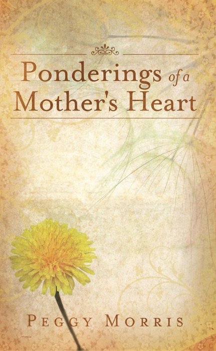 Ponderings of a Mother's Heart