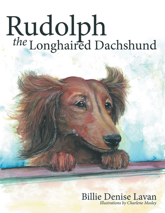 Rudolph the Longhaired Dachshund