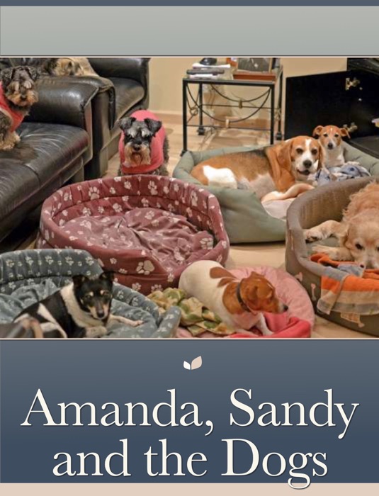 Amanda, Sandy and the Dogs
