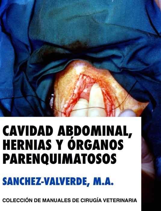 Cavidad abdominal, hernias y órganos parenquimosos