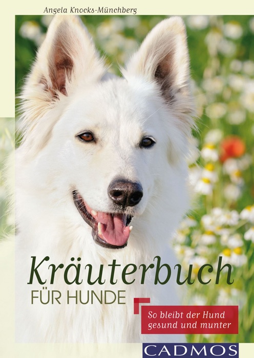 Kräuterbuch für Hunde