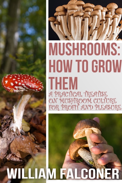 Mushrooms: How to grow them