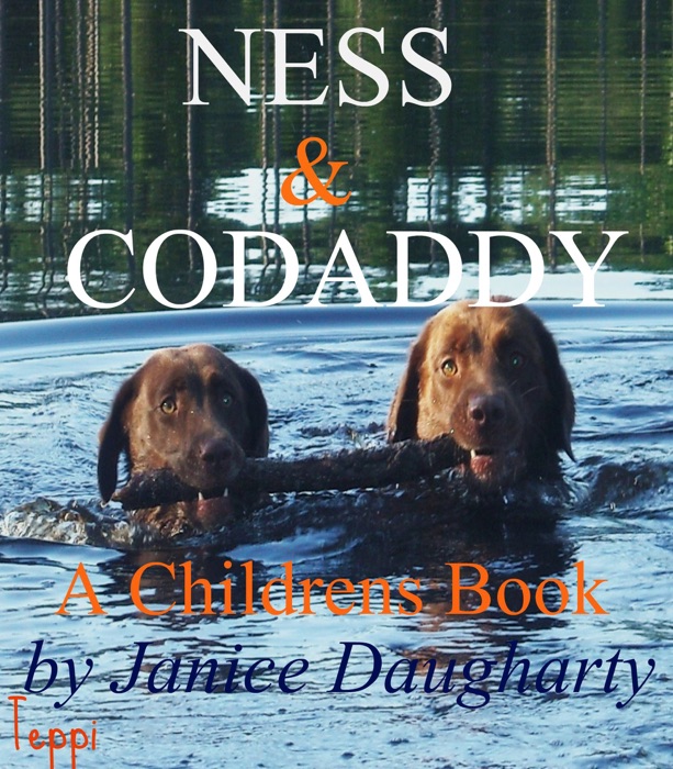 Ness and Codaddy: children's rhyming book