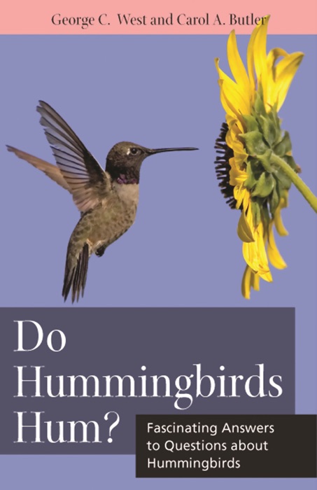 Do Hummingbirds Hum?