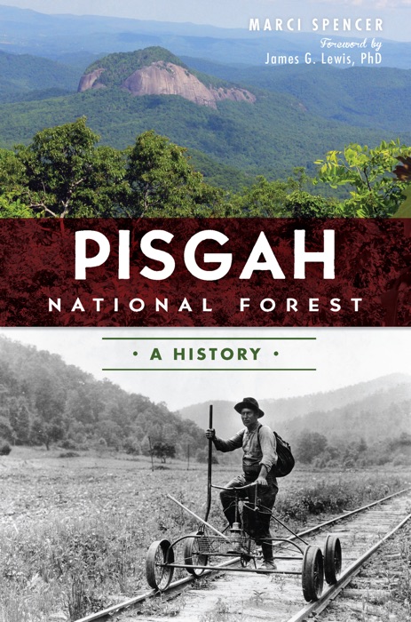 Pisgah National Forest