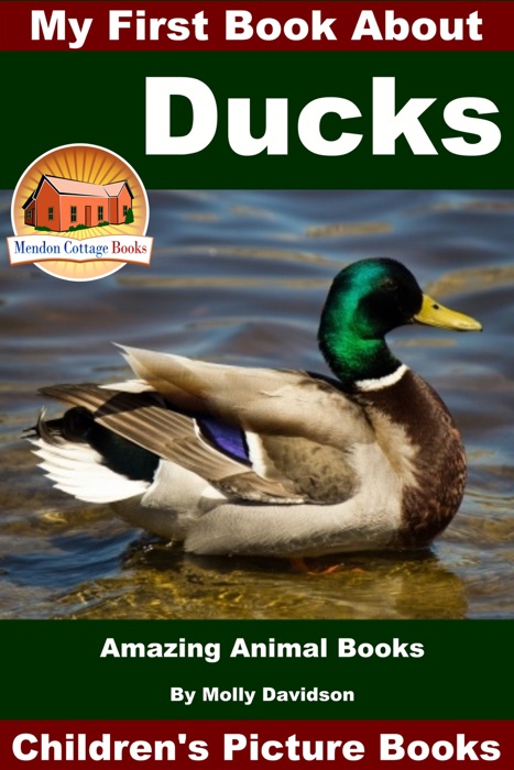 My First Book About Ducks: Amazing Animal Books - Children's Picture Books