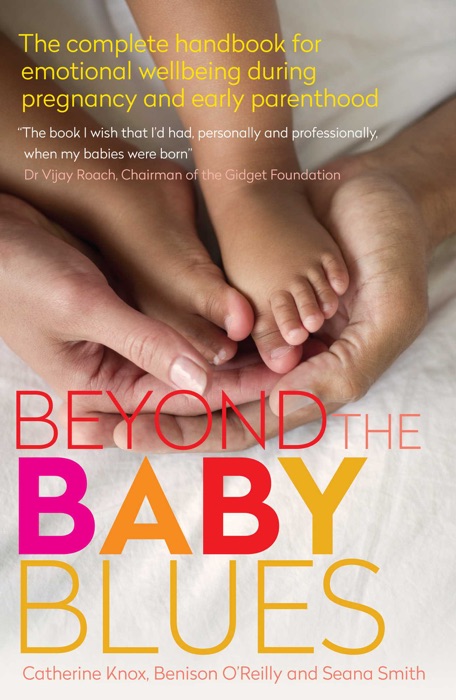 Beyond the Baby Blues 2nd Edition