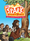 The Spark Story Bible - Debra Thorpe Hetherington