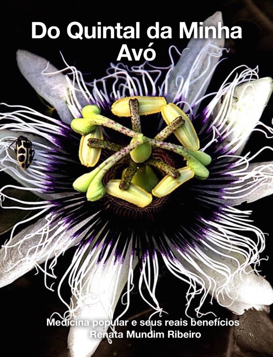 Do Quintal da Minha Avó