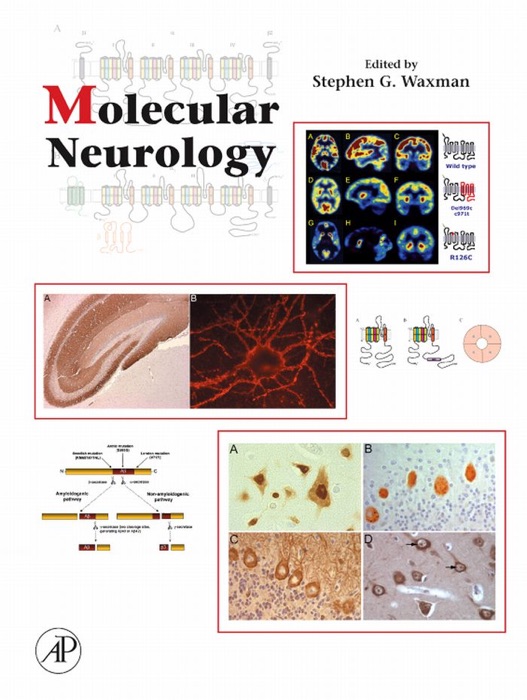 Molecular Neurology (Enhanced Edition)