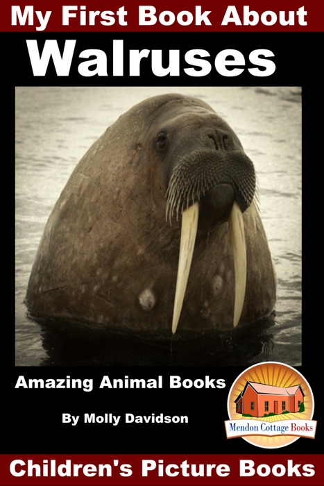 My First Book About Walruses: Amazing Animal Books - Children's Picture Books
