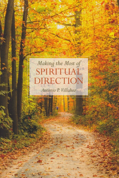 Making the Most of Spiritual Direction