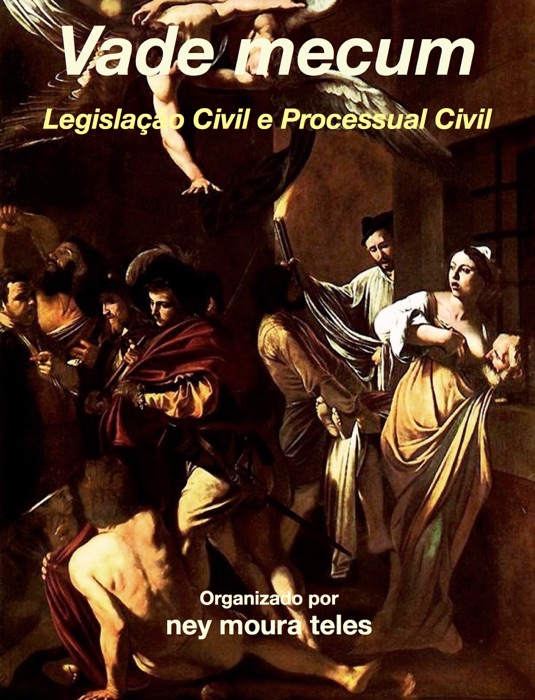 Vade mecum Legislação Civil e Processual Civil