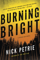 Nick Petrie - Burning Bright artwork