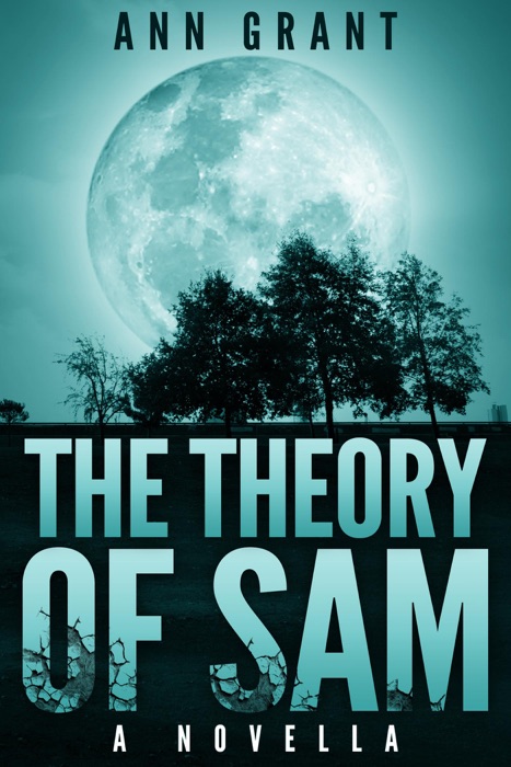 The Theory of Sam