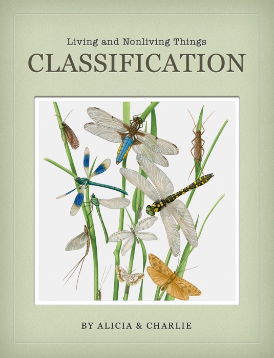 CLASSIFICATION