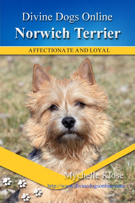 Norwich Terrier