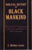 C. McGhee Livers - Biblical History of Black Mankind artwork