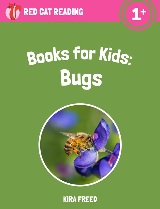 Books for Kids: Bugs