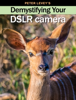 Peter Levey - Demystifying Your DSLR Camera artwork